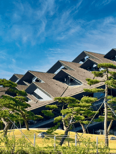 韩岭美术馆建筑线条